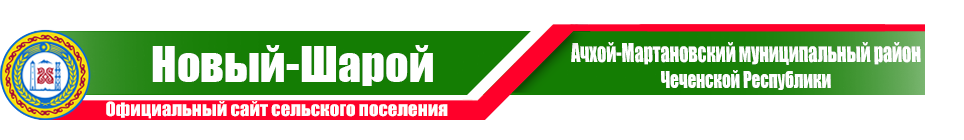 Новый-Шарой | Администрация Ачхой-Мартановского района ЧР